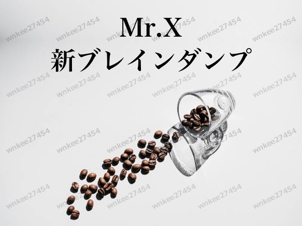 【Mr.X】新ブレインダンプ 2010 Newbraindump 非売品｜mp3音声｜仙人さん｜目標達成 潜在意識 思考を整理する方法_画像1