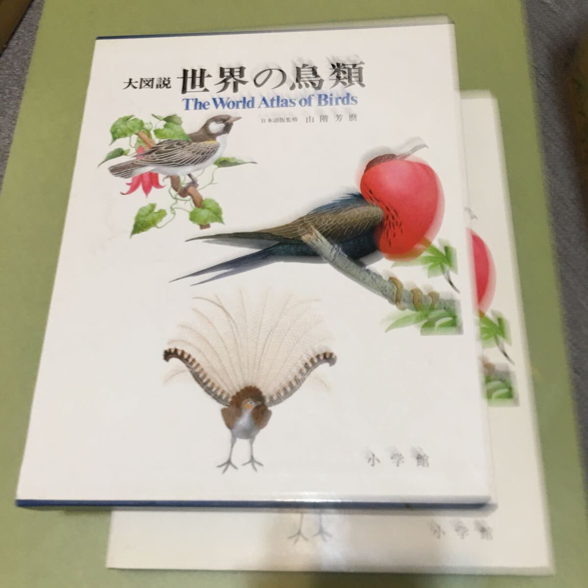 大図説　世界の鳥類_画像1
