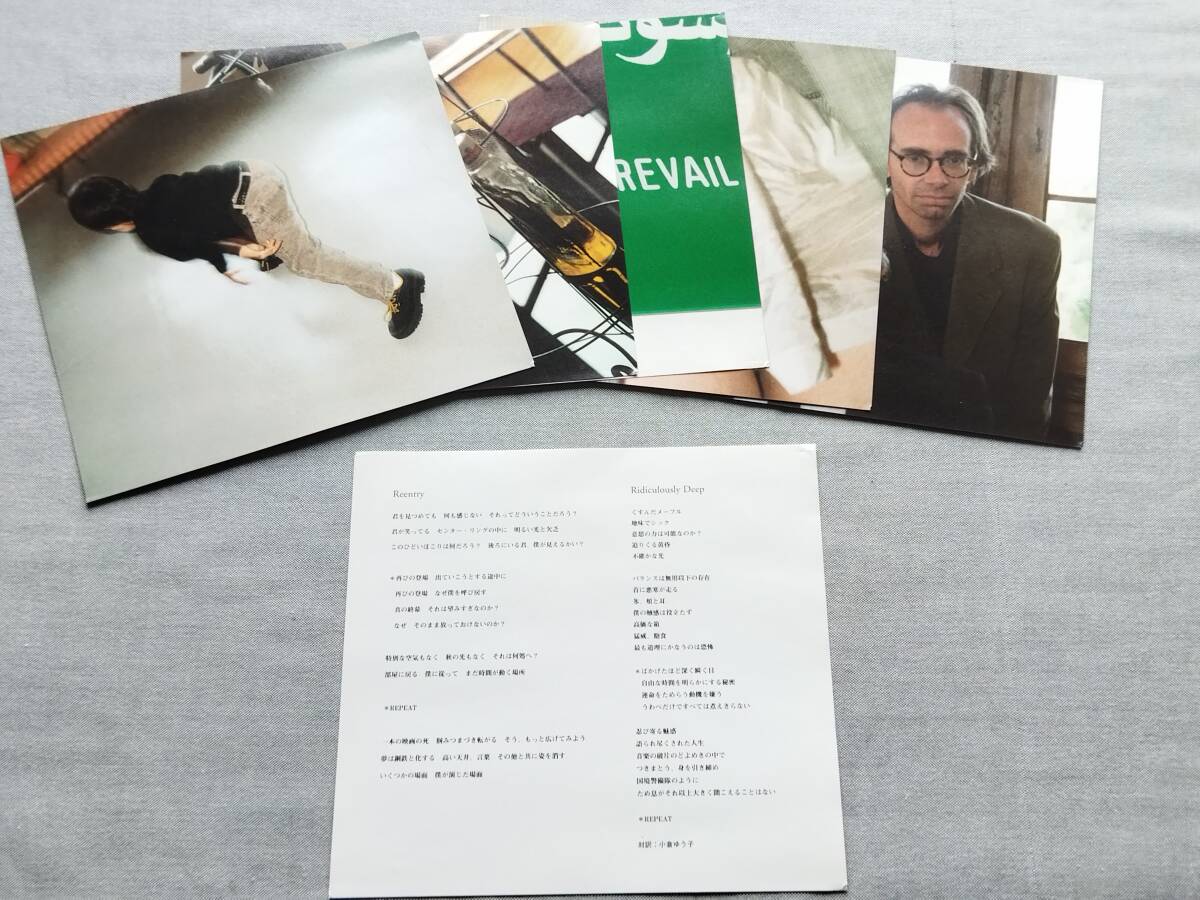 4303h 即決有 中古CD 帯付き ARTO LINDSAY 『Reentry』 アート・リンゼイ/リエントリー DNA/No Wave/The Lounge Lizards _画像6