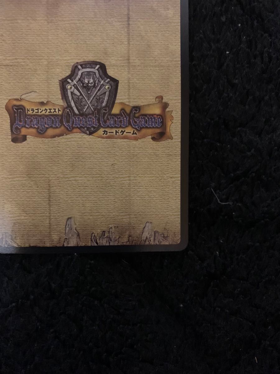 テリー　ドラゴンクエストカードゲーム　ドラクエ　カードゲーム　ドラゴンクエストⅥ テリーのワンダーランド　ノーマル　N