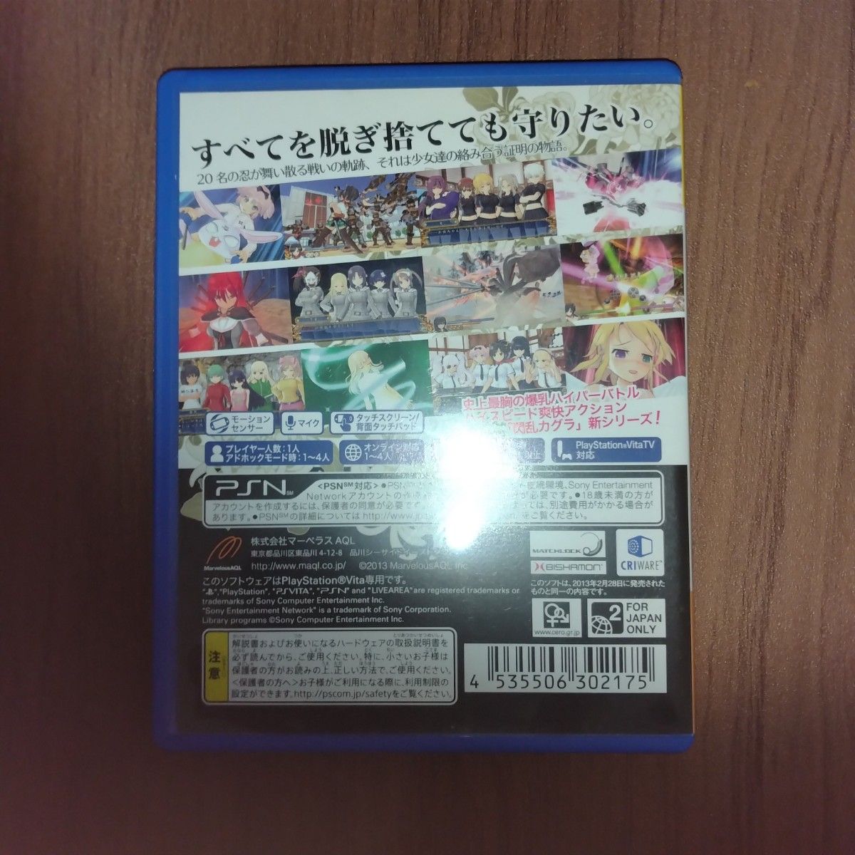 Vita ソフト閃乱カグラ SHINOVI VERSUS -少女達の証明　デカ盛り 閃乱カグラ　2本セット　