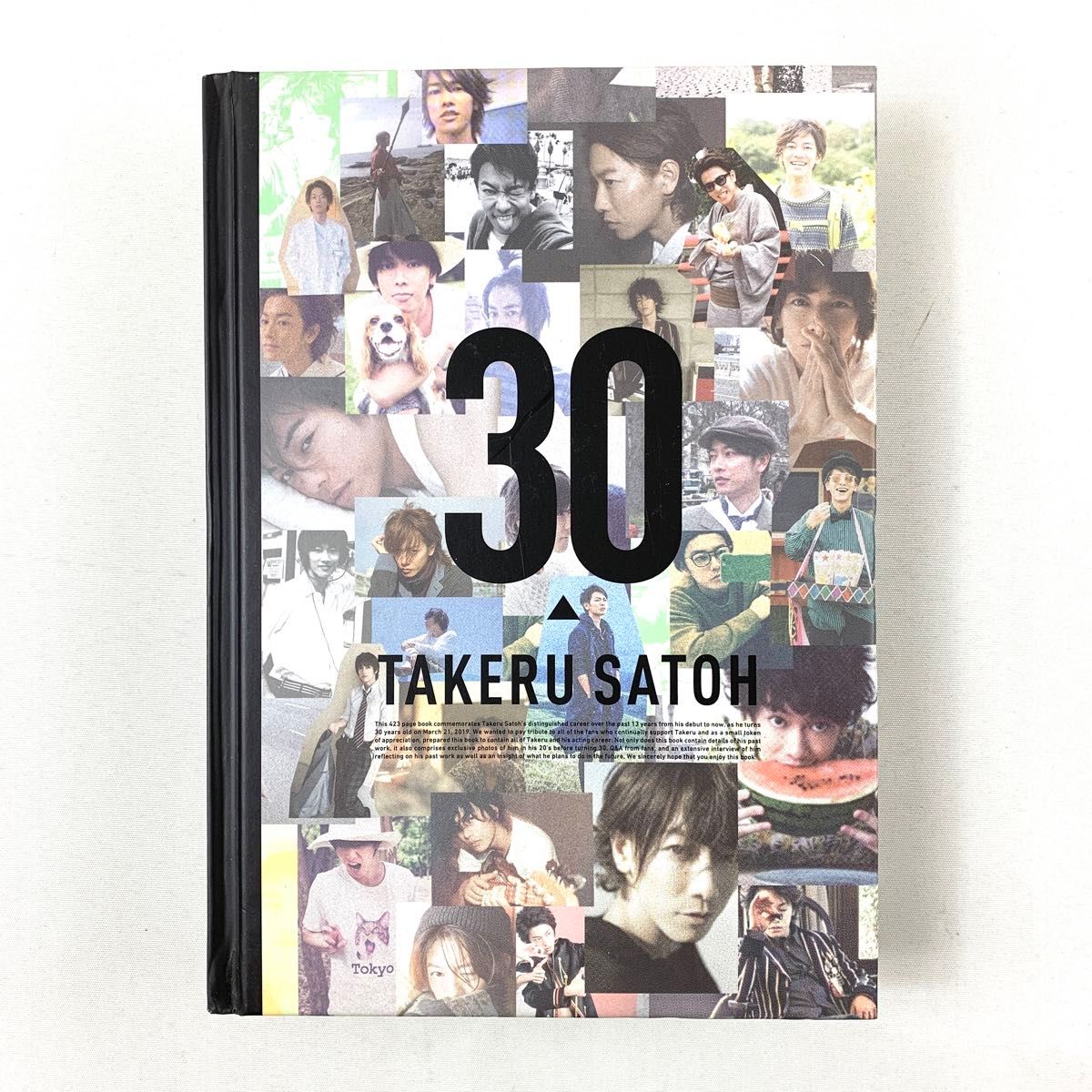 【美品】佐藤健 30th アニバーサリーブック　TAKERU SATOU hwz