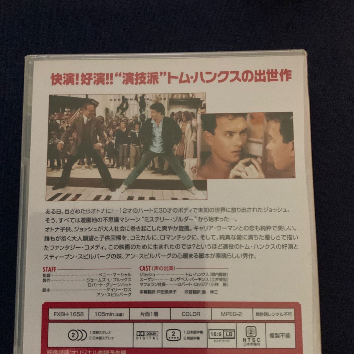 【特売】【未開封】【非売品】DVD　『ビッグ』　トム・ハンクス　エリザベス・パーキンス　ロバート・ロッジア_画像3