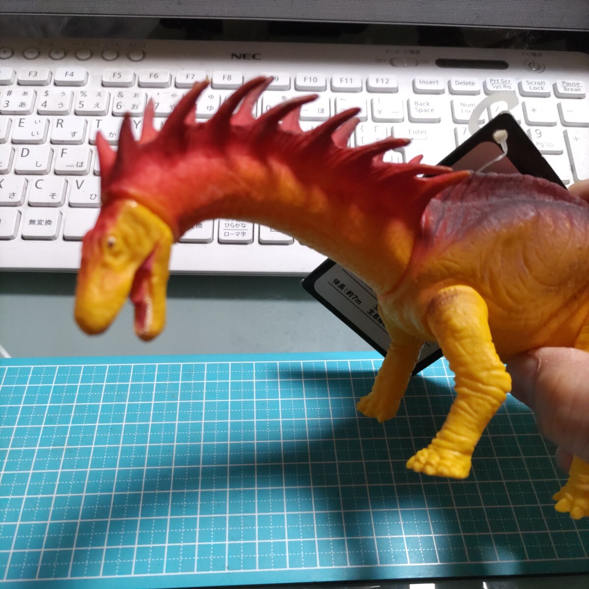 大恐竜時代 恐竜ソフト人形シリーズ アマルガサウルス ソフビ 怪獣 ウルトラ ダイナソーの画像2