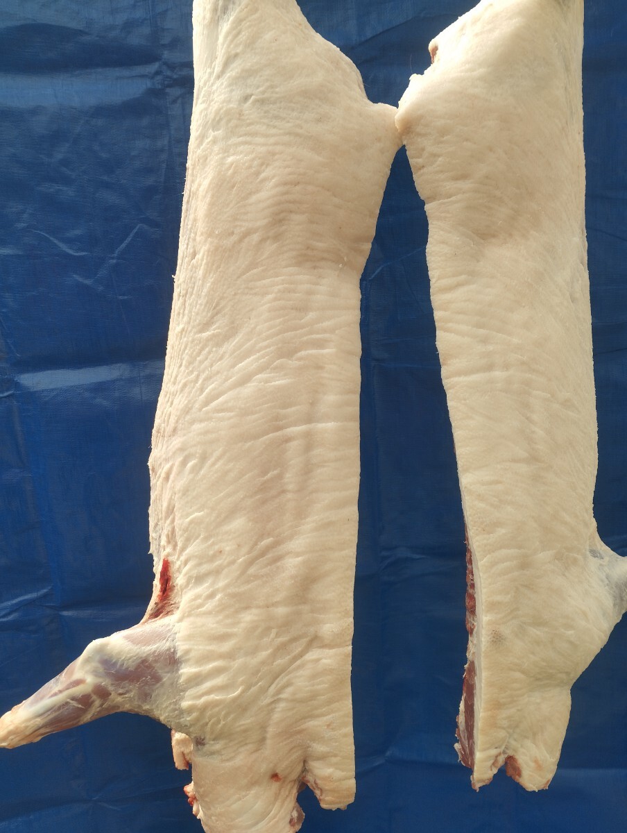 猪肉、１頭丸ごと背骨抜き17kg_画像1
