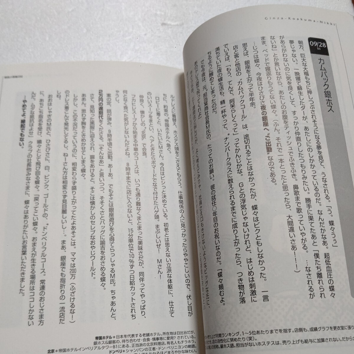 美品 銀座小悪魔日記　元銀座ホステスの過激すぎる私生活　ＯＬをしつつ、銀座の一流クラブでバイトをしていた著者の、華やかで翔んだ日常