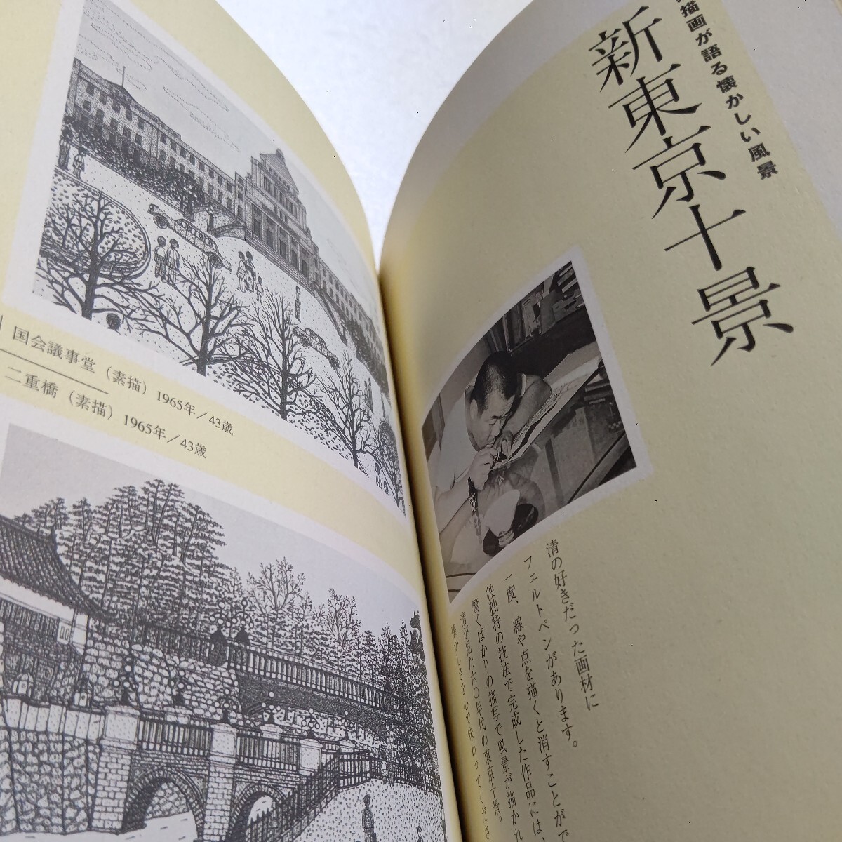 美品 山下清のすべて 放浪画家からの贈りもの　主要作品の他、人物伝や放浪日記を集大成　生涯を各関係者の証言を織り込みながら辿った一冊_画像10