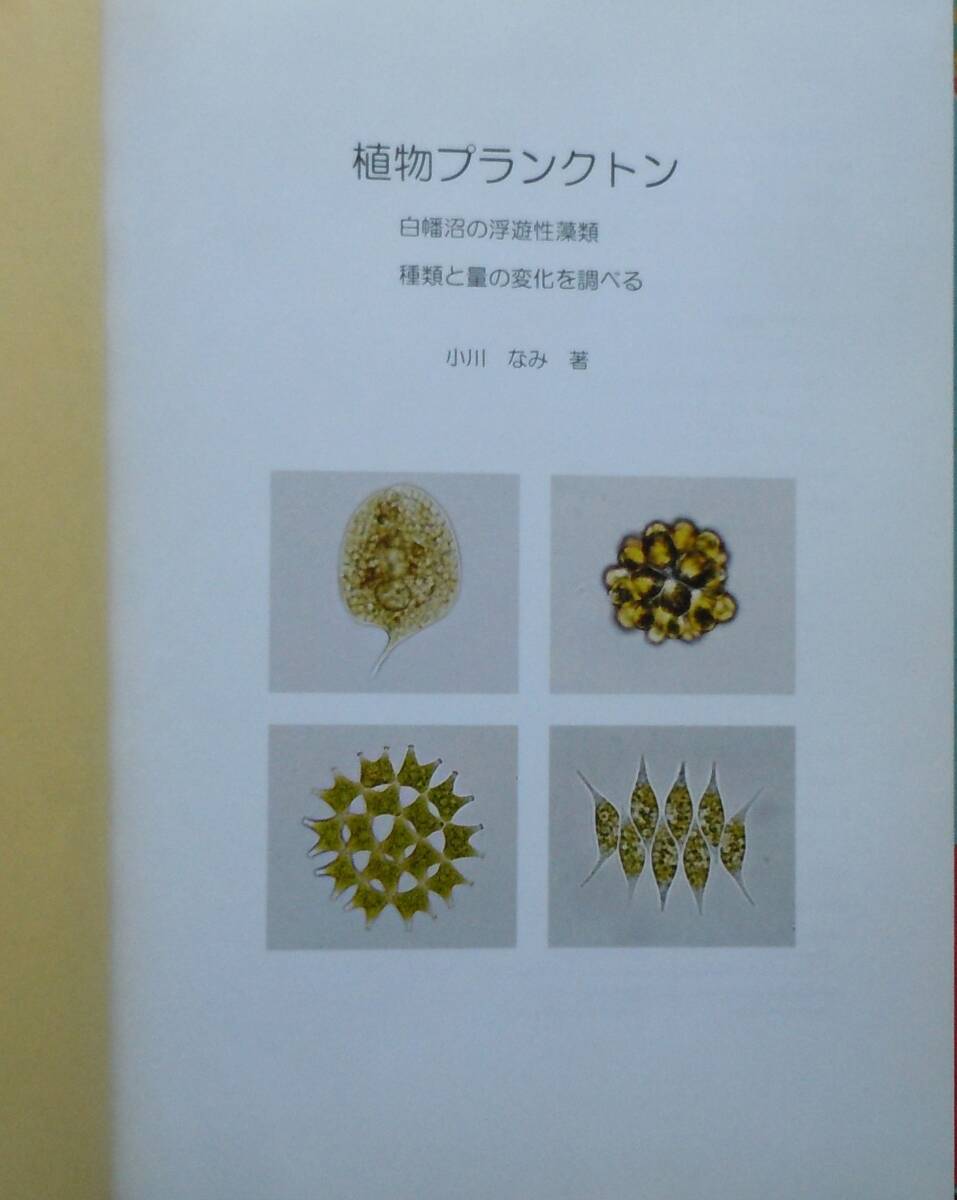 ★程度良好★植物プランクトン　白幡沼の浮遊性藻類種類と量の変化を調べる　小川なみ　悠光堂　223頁　A4判★