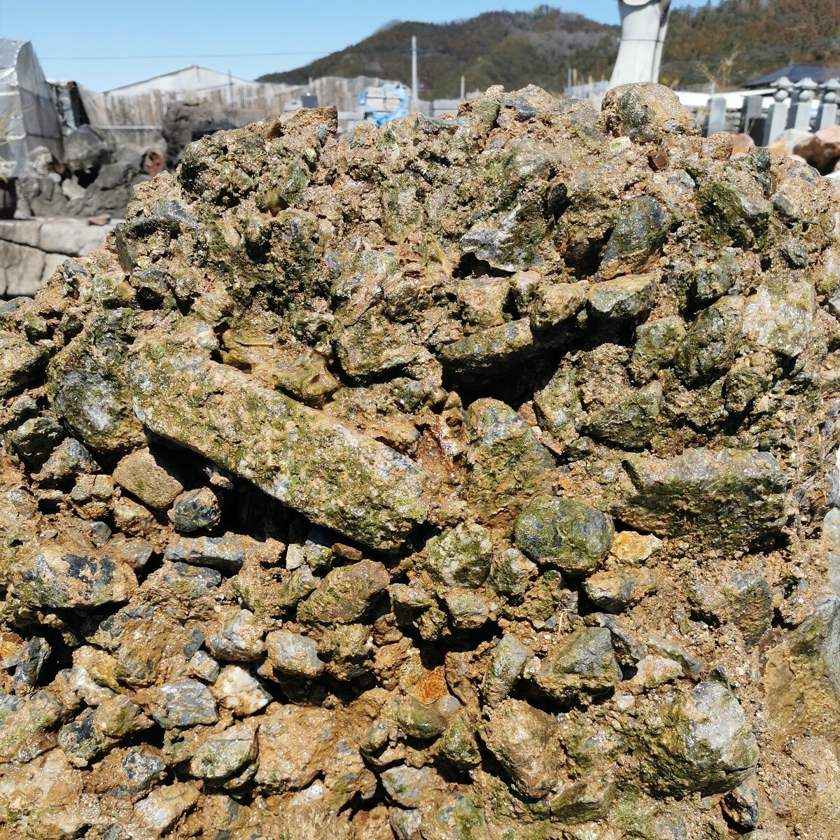 Bibian 比比昂- 岐阜県揖斐川産さざれ石231キロ庭石鑑賞石石盆石 Bibian 比比昂- 岐阜県揖斐川産さざれ石231キロ庭石鑑賞石石盆石