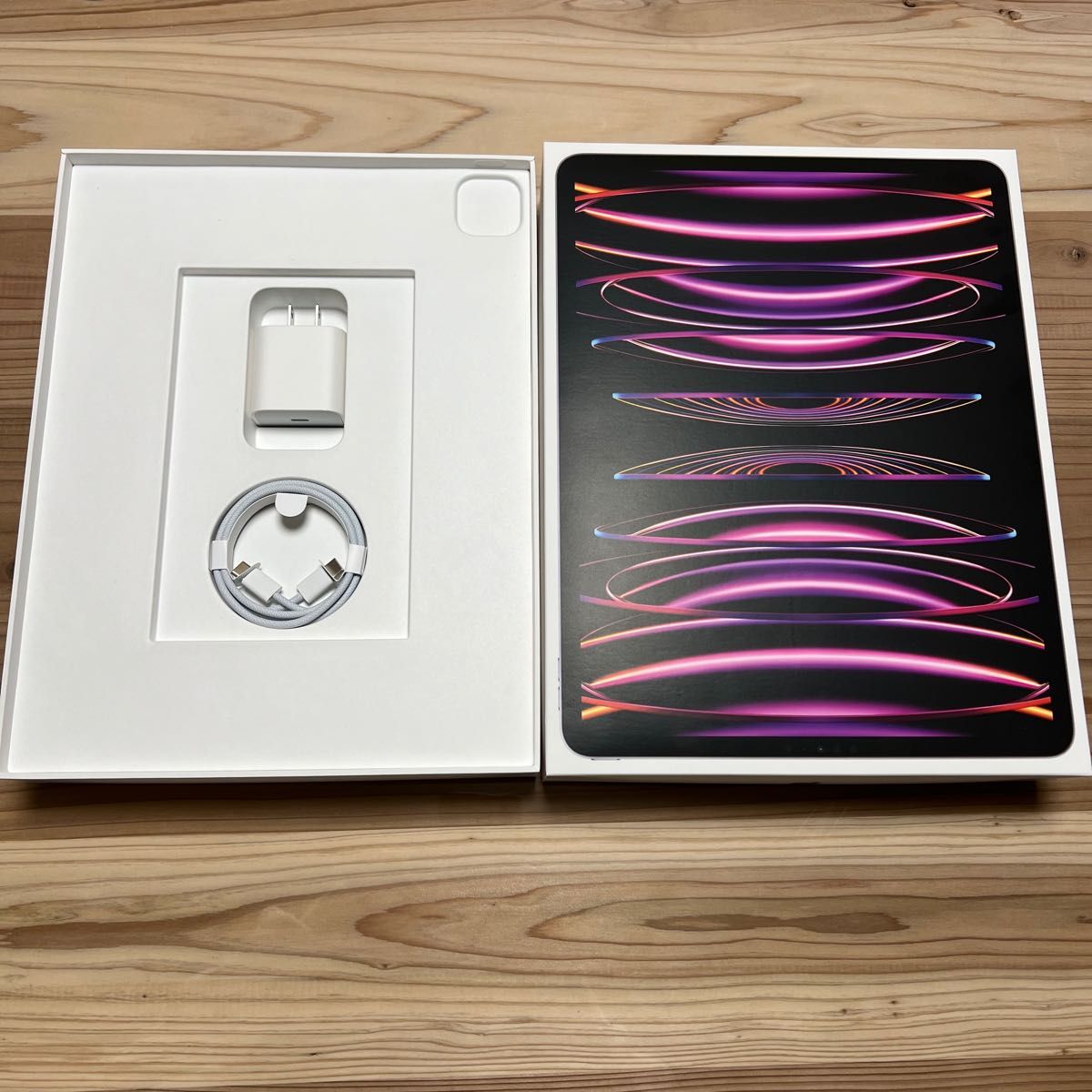 iPad Pro 第6世代 12 9インチ Wi-Fi 256GB スペースグレイ 2022 iPad Pro 第6世代 12 9インチ Wi-Fi 256GB スペースグレイ 2022
