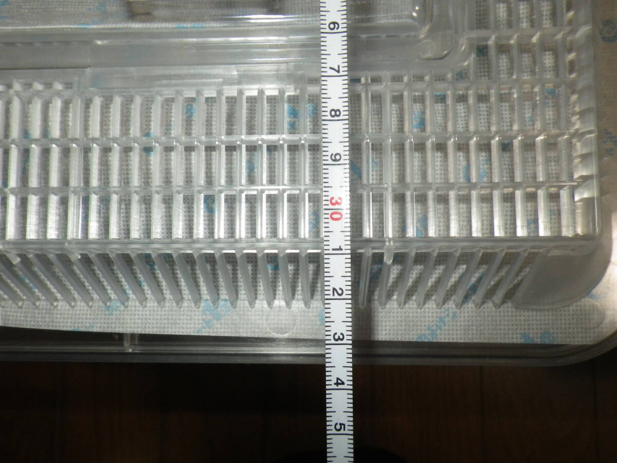 国産カブトムシ幼虫セット ６匹（現在３令幼虫）飼育ケース付き　送料込みの価格です_画像4