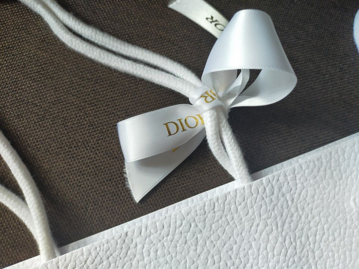 DIOR ディオール ショッパー 紙袋 2枚ｾｯﾄ ギフトラッピング プレゼント ショップ袋 クリスチャンディオールギフト