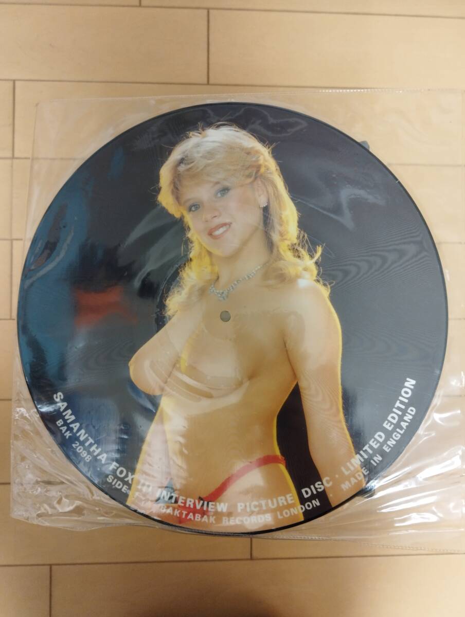 【１円出品】★★★　SAMANTHA FOX インタビューピクチャーレコード　★★★_画像1