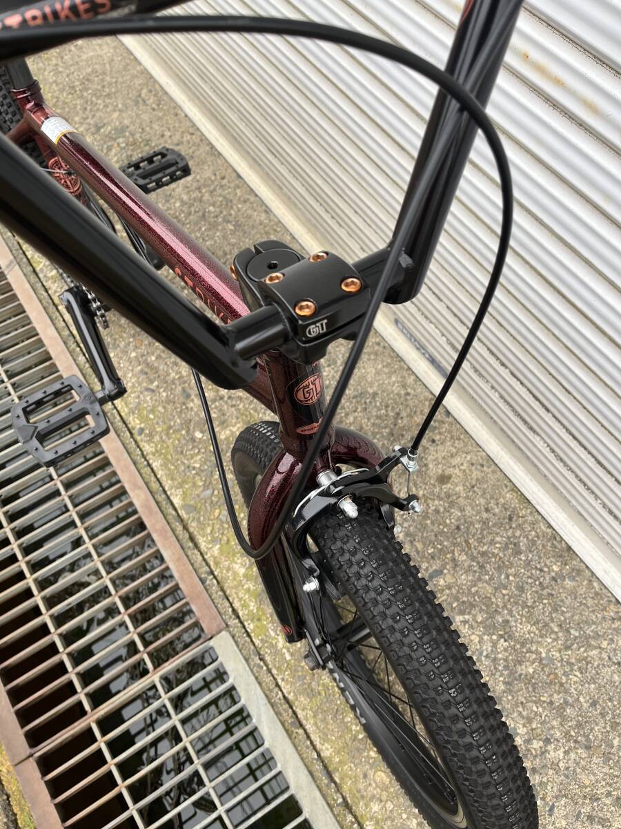 GT bk signature BMX ブライアンカチンスキー 中古品の画像3