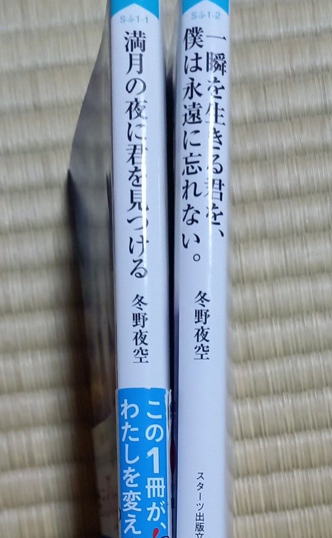 満月の夜に君をみつける　一瞬を生きる君を、僕は永遠に忘れない。(冬野夜空)