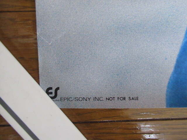  подлинная вещь Sanada Hiroyuki очень большой постер 72.5.×102.5. бикини Canyon запись PONY не продается 