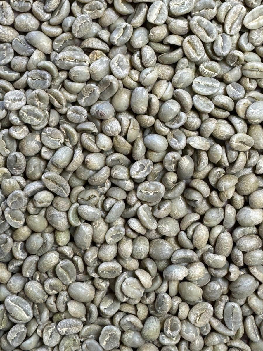 モカコチャレイルガチャフェ800g コーヒー生豆