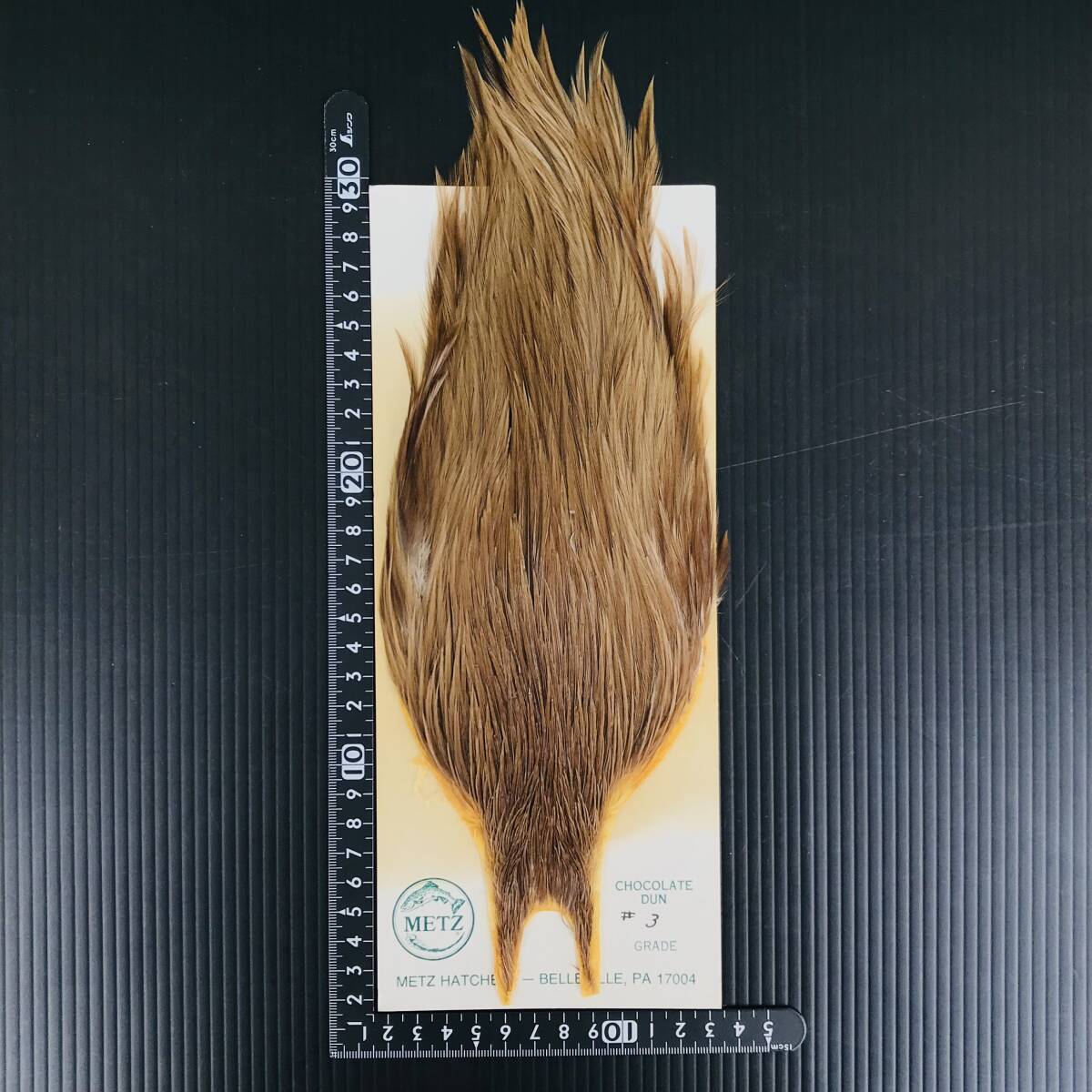 METZ/メッツ コックネックハックル チョコレートダン Cock Neck Hackle Chocolate Dun 新品 サーモンフライドライウェット毛鉤テンカラ渓流_画像3