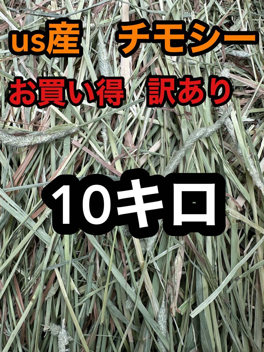 チモシー10キロ　訳あり