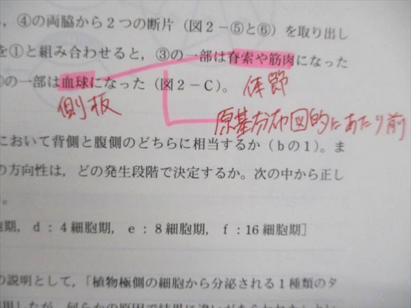 TQ90-022 代ゼミ 標準生物/問題演習 第1学期・第2学期 通年セット 2019 計4冊 sale 40M0D_画像4