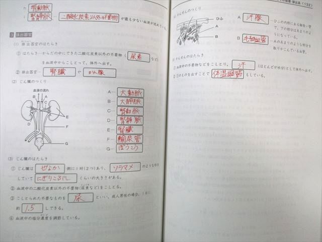 VZ01-061 浜学園 小5 サイエンス理科 第1～3分冊/追加教材 通年セット 2014 計4冊 62R2D_画像5