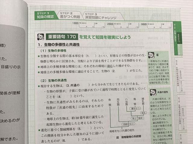 WB33-028 ベネッセ 生物基礎 進研 WINSTEP 改訂版/解答解説 状態良い 2021 10S0B_画像4