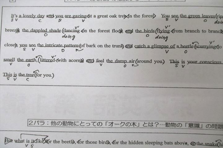 WE27-042 河合塾 京都大学 京大英語 テキスト 2019 春期 佐野光宜 08s0C_画像5