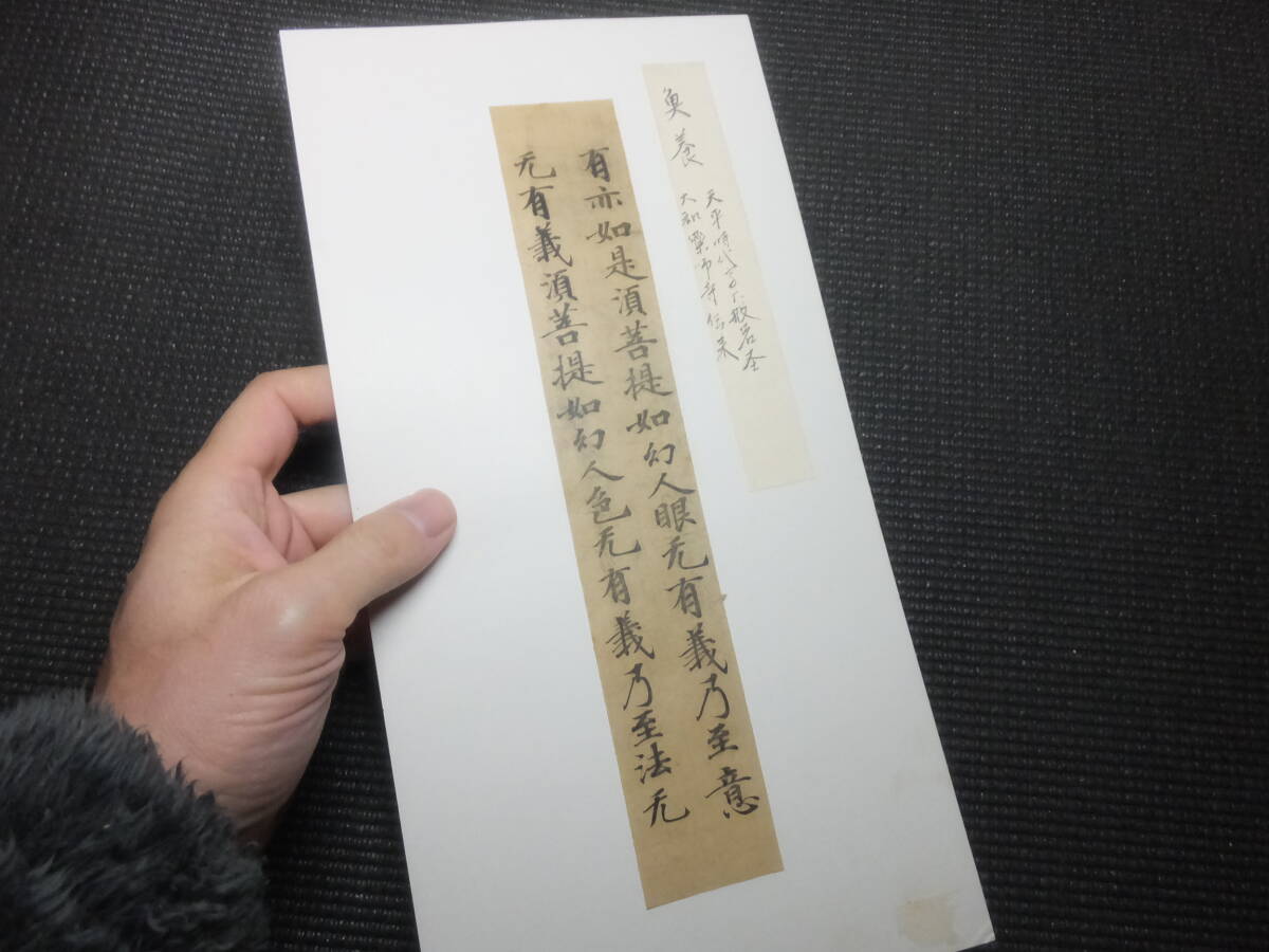 天平経！魚養経！2行断簡！肉筆古写経その１！　　　　　　　　　　　検和本古筆手鑑中国唐物唐本敦煌経鎌倉時代平安時代大聖武中聖武掛軸_画像7