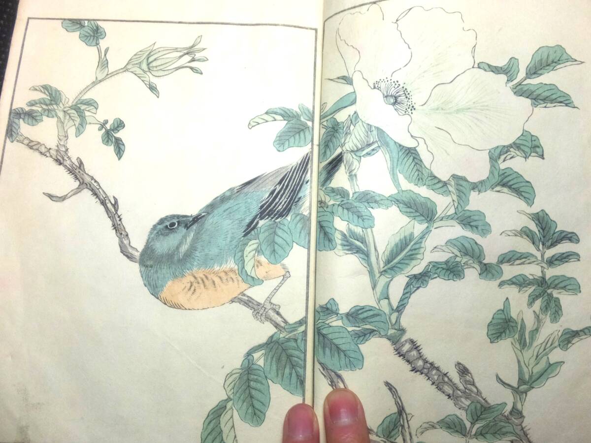  woodblock print! flowers and birds .25 map compilation!. bird ..! marsh hing rice field load .! war front! inspection ukiyoe design .. 100 bird .. now tail . year flowers and birds ... volume thing peace book@ Japanese cedar . non water 100 flower .. thing .