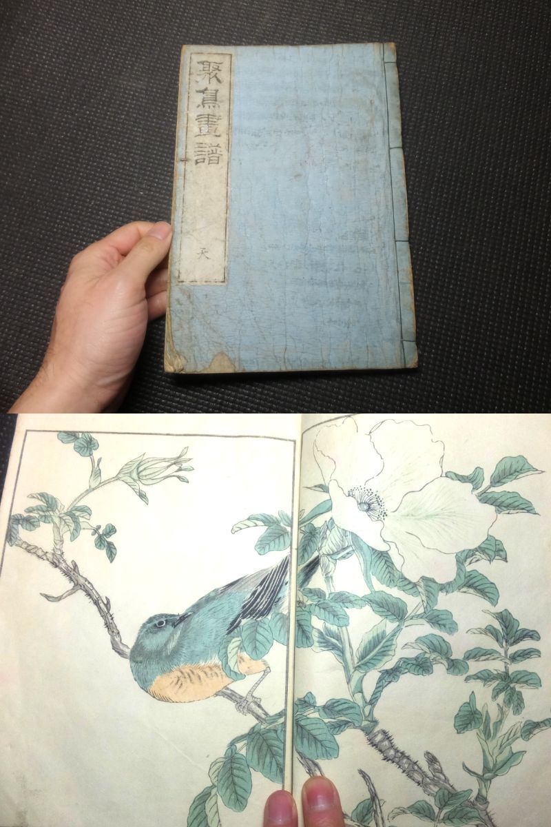  woodblock print! flowers and birds .25 map compilation!. bird ..! marsh hing rice field load .! war front! inspection ukiyoe design .. 100 bird .. now tail . year flowers and birds ... volume thing peace book@ Japanese cedar . non water 100 flower .. thing .