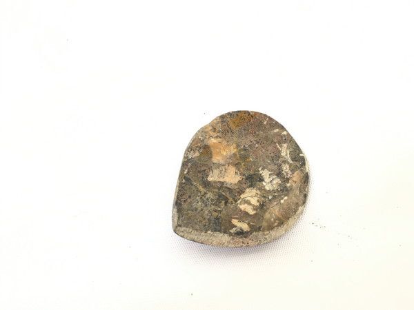 1円 難あり含む アンモナイト 石 コレクション 小物 セット EV960_画像3
