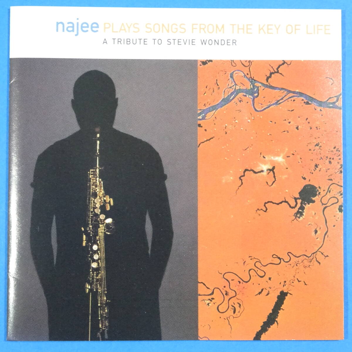 CD　ナジー　NAJEE / PLAYS SONGS FROM THE KEY OF LIFE　1995年　US盤　ジャズ　フュージョン_画像4