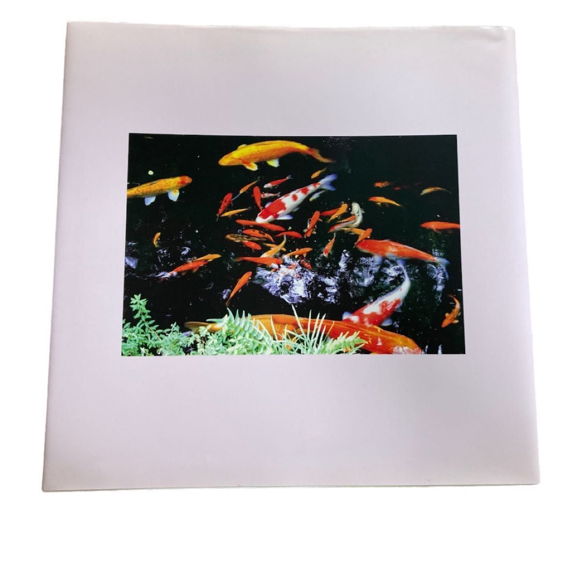非売品】池田大作 写真集 自然との対話 平和の曲 副本部宛贈呈品 非売品】池田大作 写真集 自然との対話 平和の曲 副本部宛贈呈品
