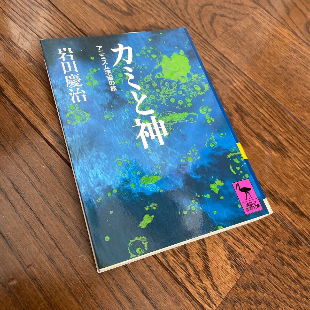 講談社学術文庫 岩田慶治 「カミと神 アニミズム宇宙の旅」 93年5刷_画像1