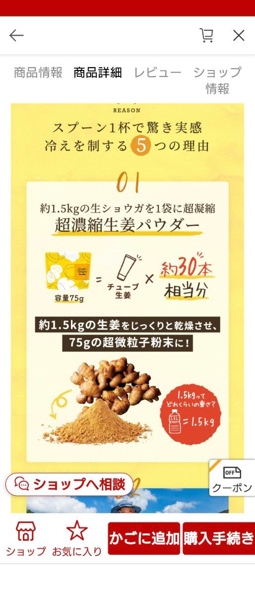 クラフトジンジャーパウダー　高知県産生姜100％　新品未開封