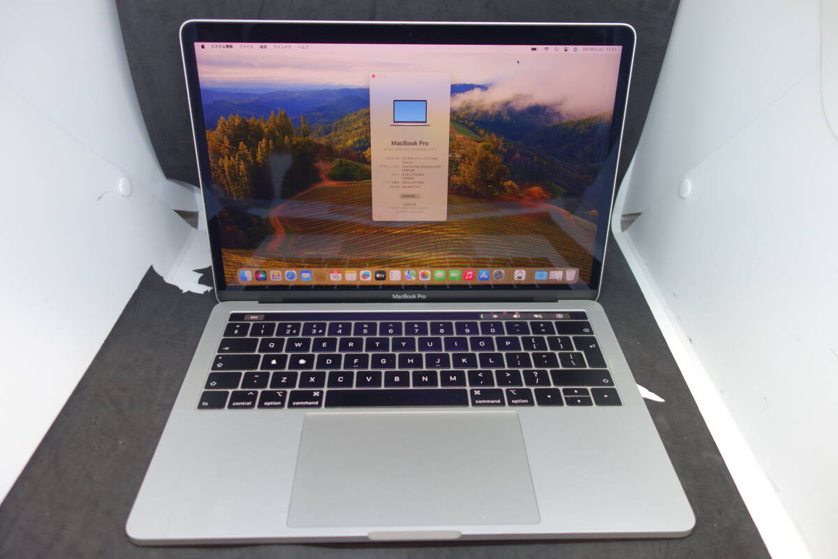 （206）Apple MacBook Pro 2018 13インチ メモリー8GB SSD256GB 2.3GHz Intel Core i5 シルバー 英字キーボードの画像1