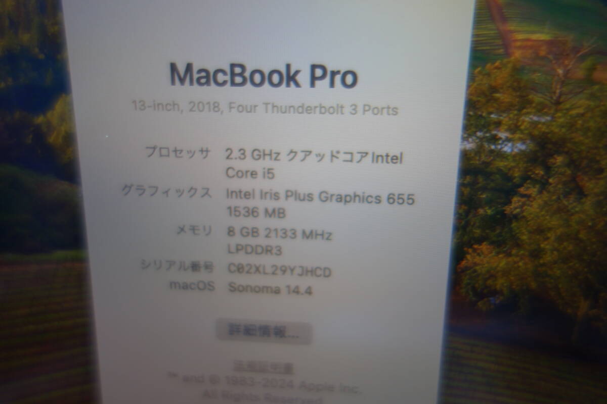 （206）Apple MacBook Pro 2018 13インチ メモリー8GB SSD256GB 2.3GHz Intel Core i5 シルバー 英字キーボードの画像5