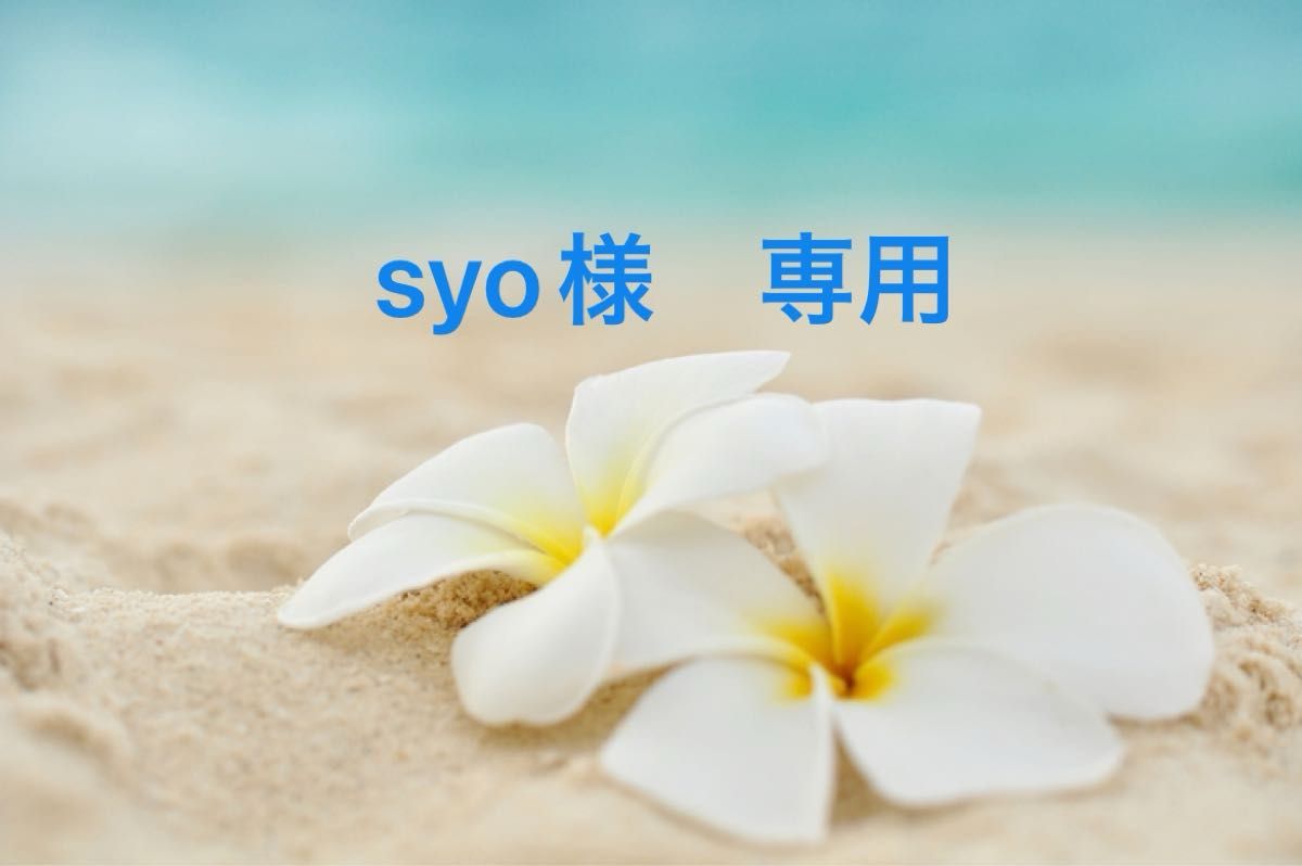 syo様専用　おまとめ２点