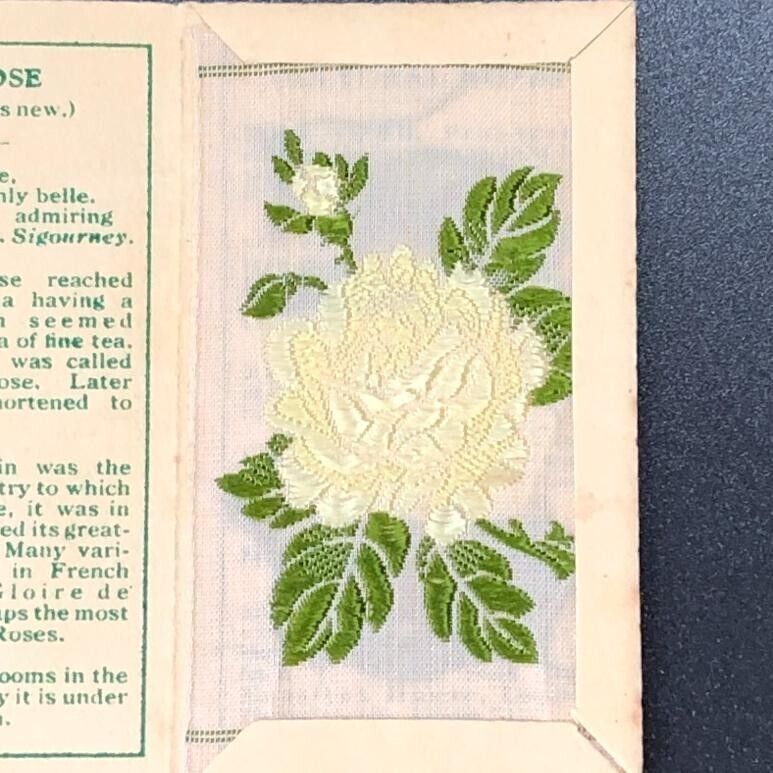 【英国 アンティーク】 シガレットカード　シルク 花刺繍 『 バラ（ティーローズ） 』　イギリス (TBK012)_画像2