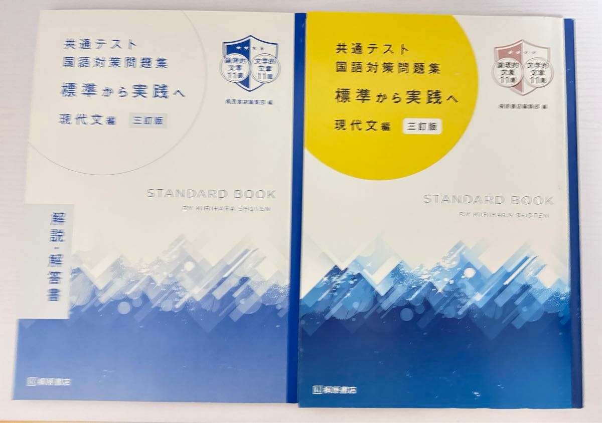 共通テスト 国語対策問題集 標準から実践へ 現代文編