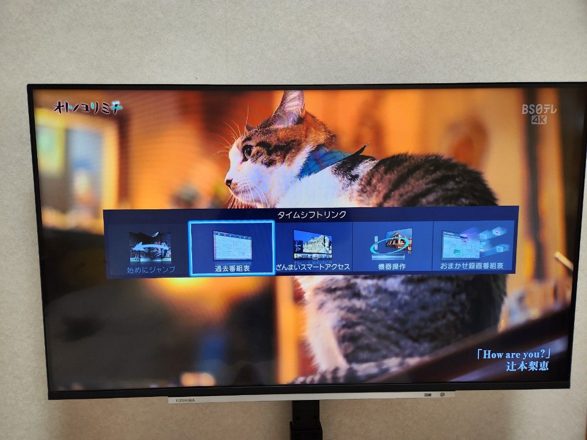 ★平野様専用★【美品】東芝 4K液晶テレビ REGZA 43M540X 2020年製 TOSHIBA レグザ 43V型