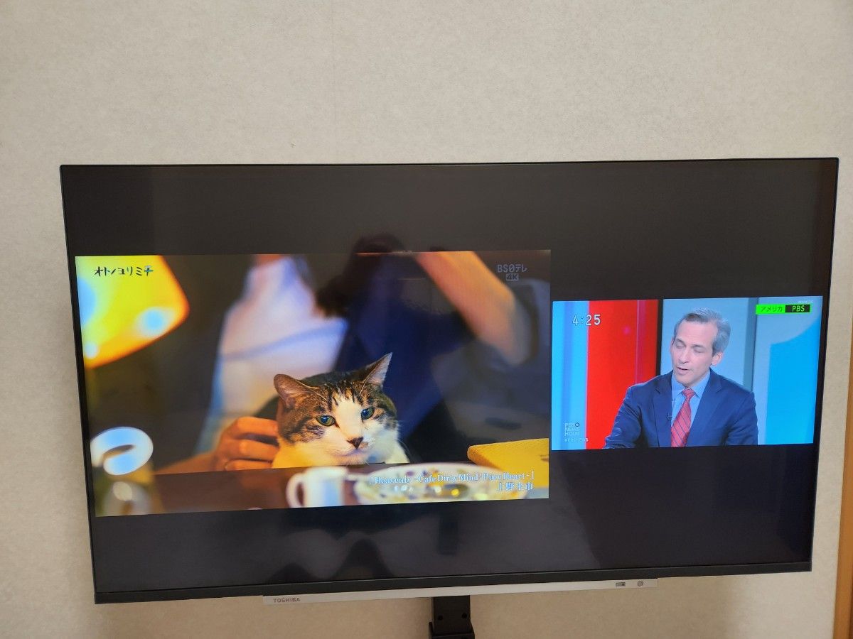 平野様専用 【美品】東芝 4K液晶テレビ REGZA 43M540X 2020年製 平野様専用 【美品】東芝 4K液晶テレビ REGZA 43M540X 2020年製