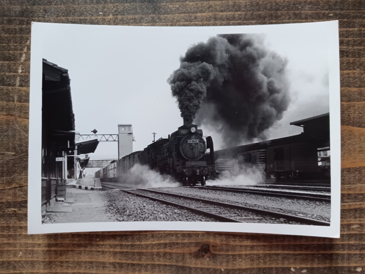 写真 古写真 電車 鉄道【蒸気機関車】古い鉄道写真 鉄道写真（鉄道資料 鉄道コレクション 国鉄）D51 774_画像1