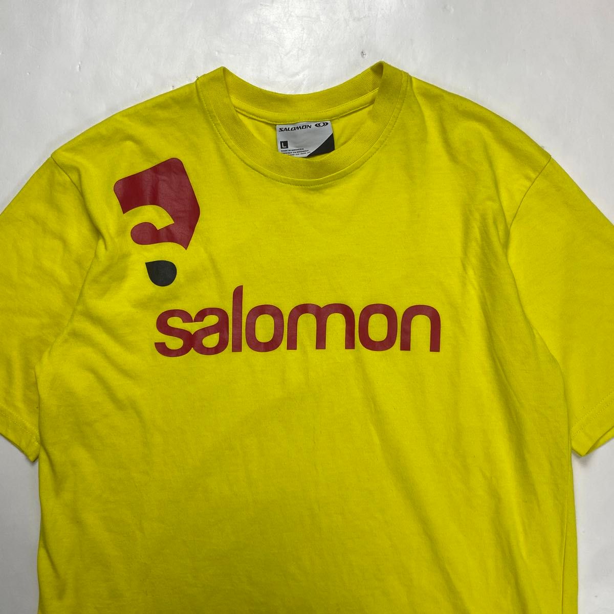 SALOMON サロモン  ロゴプリント 半袖 Tシャツ イエロー L y2k テック