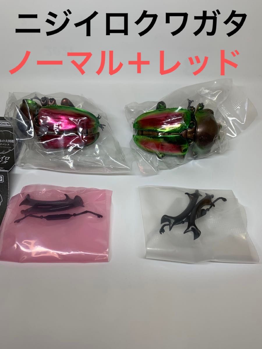 いきもの大図鑑　ニジイロクワガタ　ノーマル＋レッド　未開封品