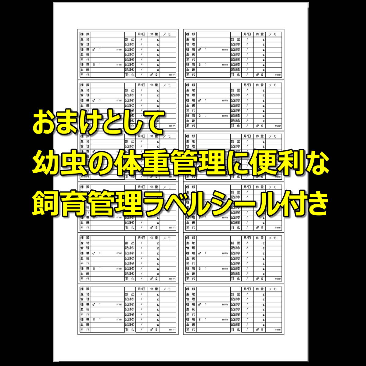 【RK】飼育ケース 大容量コンテナ 5.5L 新品 5個 おまけ付 国産 外国産カブトムシ 幼虫飼育に最適！タイベストシール予備付_画像6