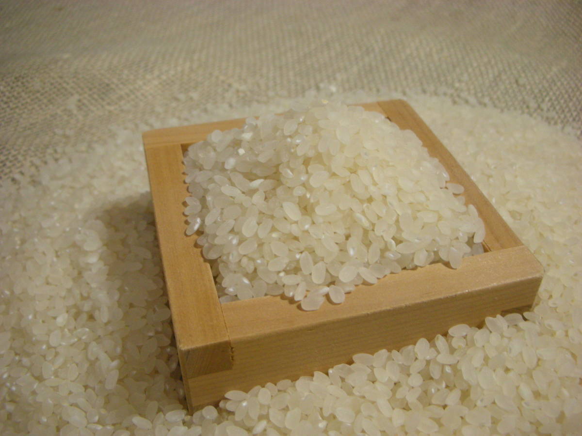 [.]. peace 5 year production *. pesticide cultivation *mochimochi Niigata Koshihikari white rice 25kg*****