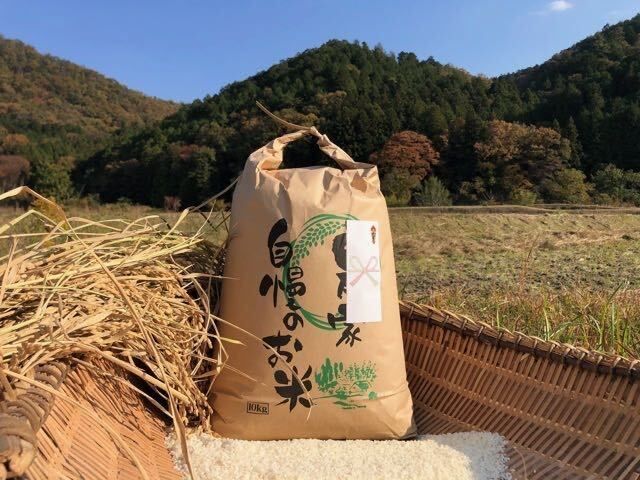 . peace 5 year production new rice Koshihikari * beautiful taste .. shelves rice field heaven day . rice 30 kilo *1 jpy start 