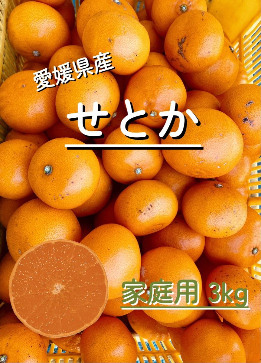 愛媛県産せとか　家庭用3kg