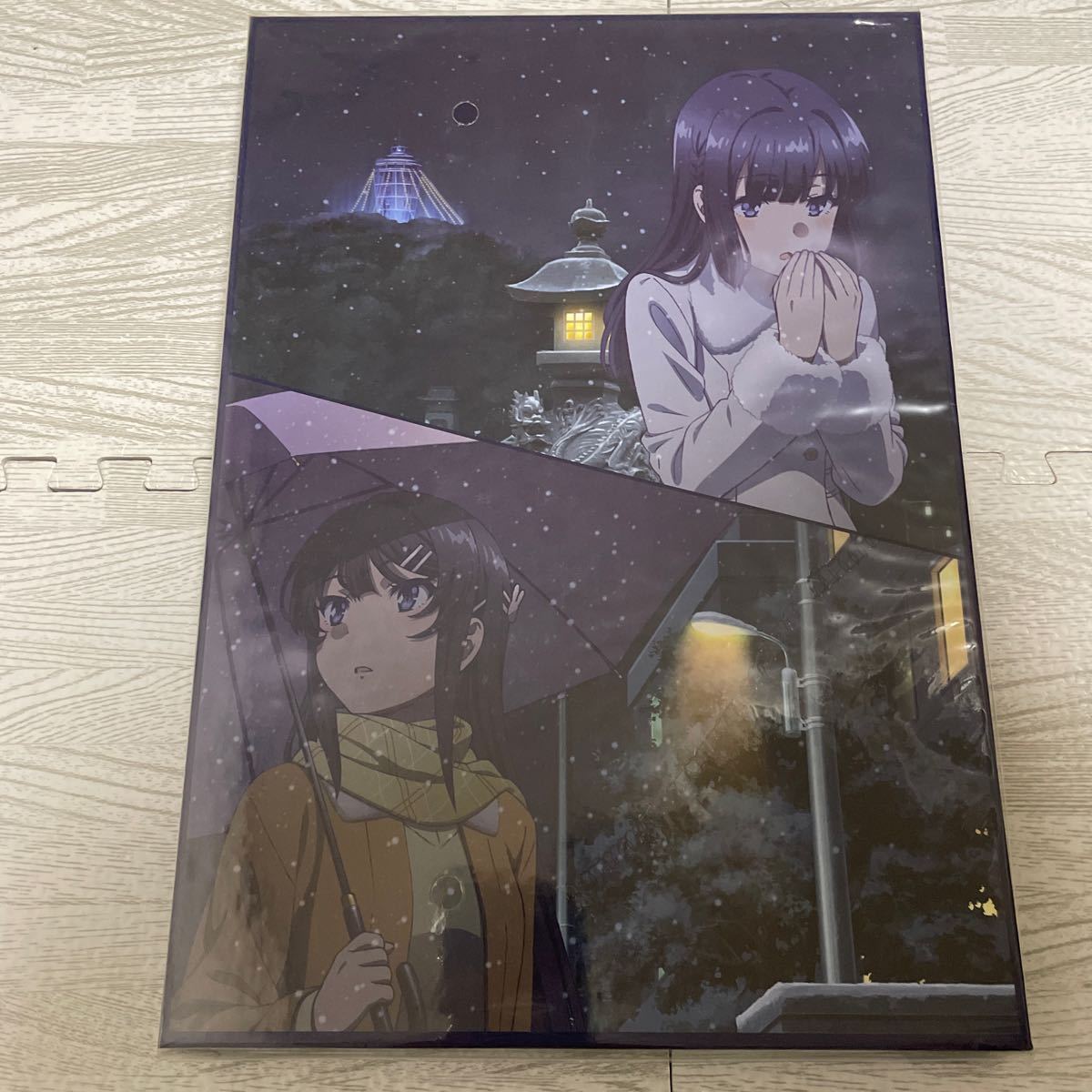 劇場版 青春ブタ野郎はゆめみる少女の夢を見ない 豪華版 劇場版 青春ブタ野郎はゆめみる少女の夢を見ない 豪華版